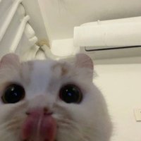 ___________________yyyyy